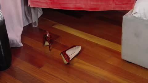 Aryana online show from September 29, 5:34 am