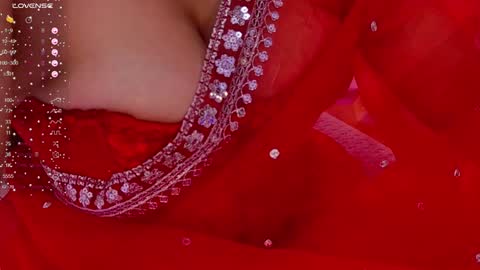 Snapshot of ashalisha chatting on December 24, 2:22 pm Asha  online show from December 24, 2:22 pm