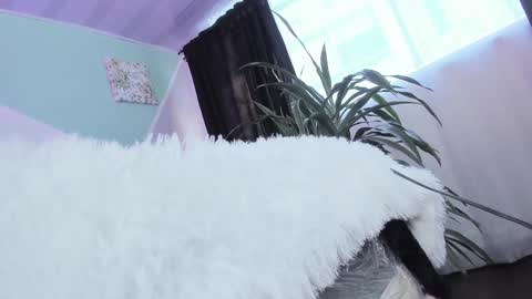 ASHLEY online show from January 11, 12:40 pm