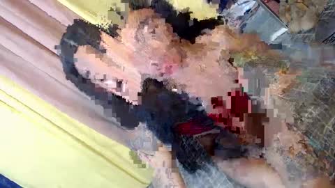 don online show from January 30, 2:58 pm