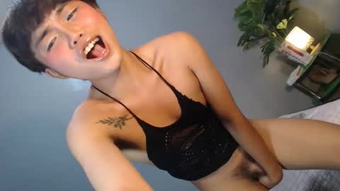 Reyshell online show from February 4, 2:34 pm