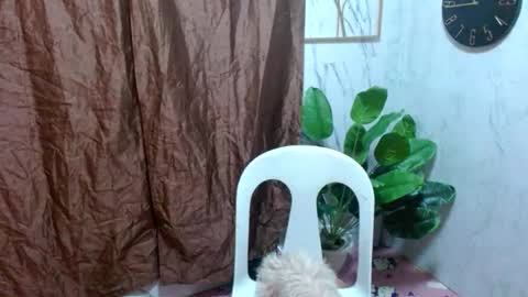 Nico online show from February 21, 11:01 am