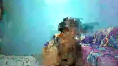 ann online show from April 26, 4:26 pm