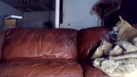 Tell me spread and Ill spread online show from December 15, 1:43 am