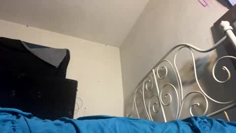 Snapshot of assilem277 chatting on February 8, 9:13 am danni travis online show from February 8, 9:13 am