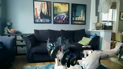 Snapshot of assmaster_6100 chatting on February 11, 8:52 pm assmaster_6100 online show from February 11, 8:52 pm