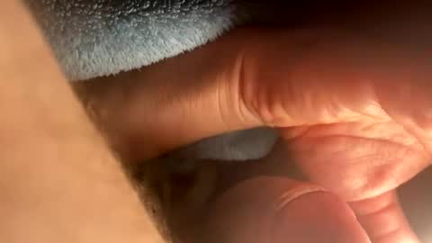 asterwix online show from September 21, 1:46 pm