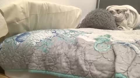 astrologyboy online show from April 22, 2:36 am