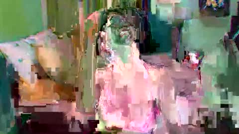 asuntapony online show from September 11, 3:06 am