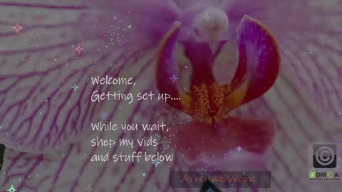 Atrena online show from April 15, 2:07 am