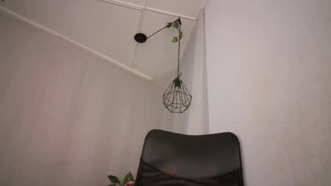 Aurora ath online show from December 20, 10:38 am