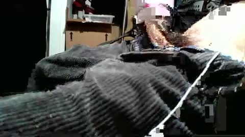 Snapshot of averagecharles757569 chatting on October 9, 5:27 am averagecharles757569 online show from October 9, 5:27 am