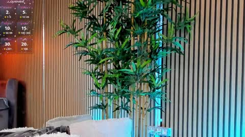 AVRILL CYRUX online show from January 28, 11:49 am