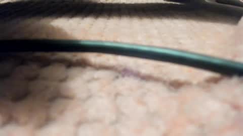 Axell online show from March 28, 9:09 am