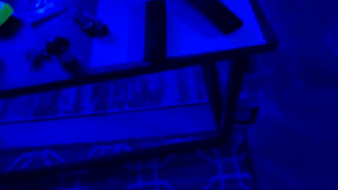 AylaTy online show from September 28, 6:30 am