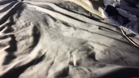 Snapshot of b0rk3r chatting on December 11, 5:53 am b0rk3r online show from December 11, 5:53 am