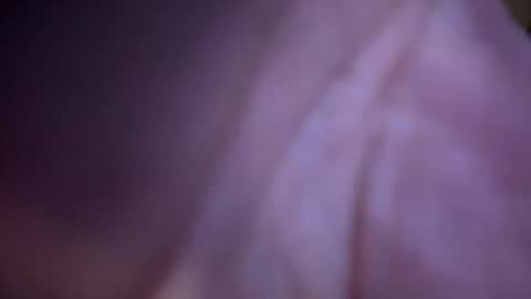 Snapshot of baby_buddha chatting on January 29, 1:28 pm baby buddha online show from January 29, 1:28 pm