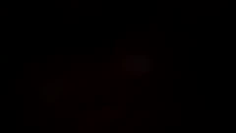 baby bunny  online show from December 2, 7:25 am