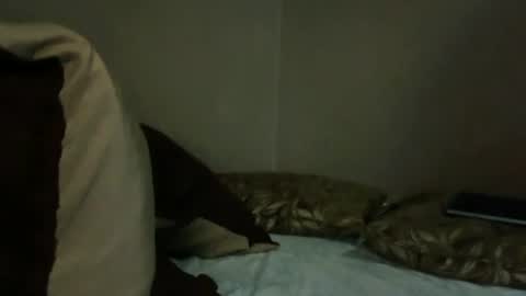 Snapshot of baby_trans21 chatting on October 30, 3:30 am baby_trans21 online show from October 30, 3:30 am