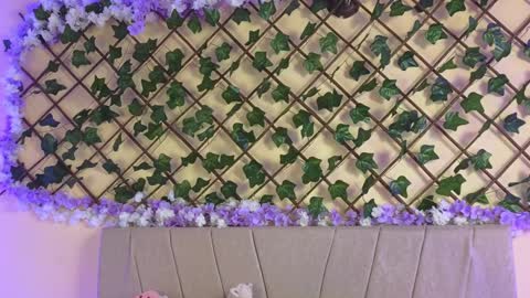  Dani  online show from December 19, 2:45 am