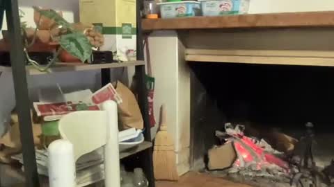 bach online show from December 12, 6:53 pm