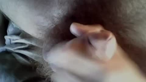 Snapshot of baghiraa chatting on September 27, 8:30 am Baghira online show from September 27, 8:30 am