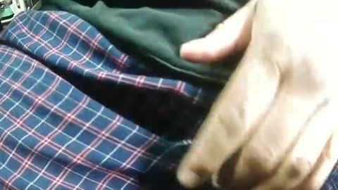 Bagofun online show from January 25, 7:38 am