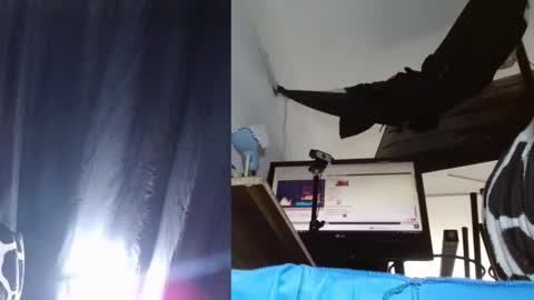 bambam online show from November 24, 4:18 pm