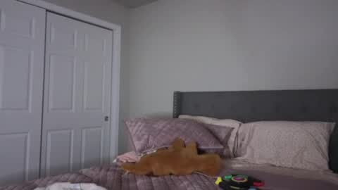 bambifarrina online show from October 2, 1:56 am