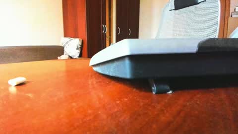 BananaBoy online show from February 6, 9:43 am