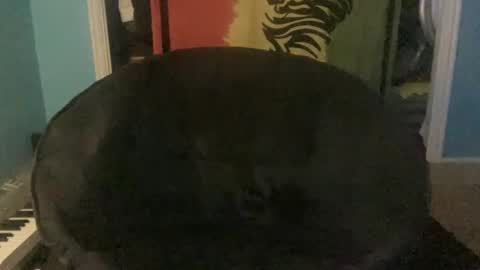 Snapshot of bananaboy420720 chatting on September 16, 6:14 am bananaboy420720 online show from September 16, 6:14 am