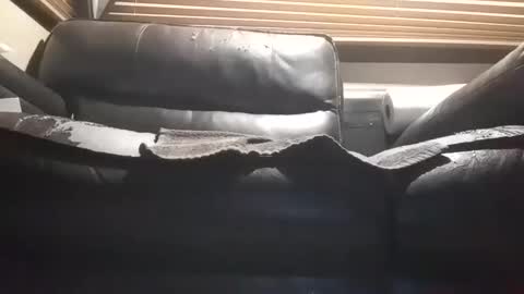 Snapshot of baobabtree10 chatting on October 28, 12:09 pm baobabtree10 online show from October 28, 12:09 pm