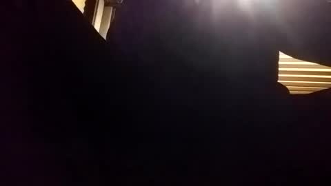 baobabtree8 online show from December 24, 2:10 am