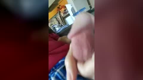 barbitall online show from July 17, 2:56 pm