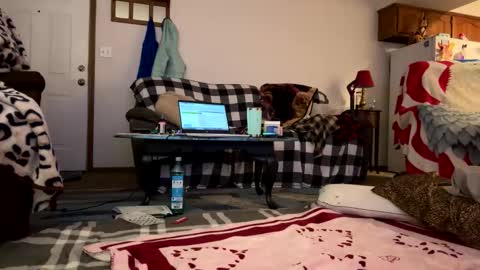barelybehavedbarbie online show from April 23, 7:52 am