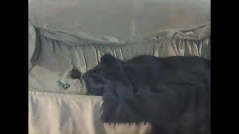 barrysand online show from September 23, 2:14 am