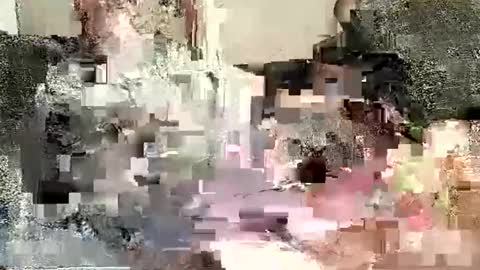 Batman online show from January 2, 12:02 am