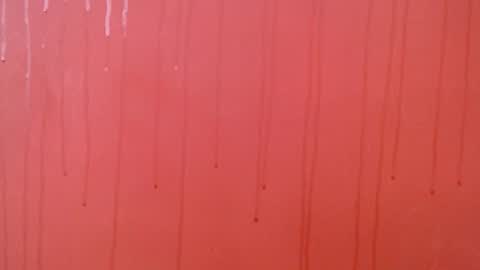 bayonette_black online show from November 23, 7:02 pm