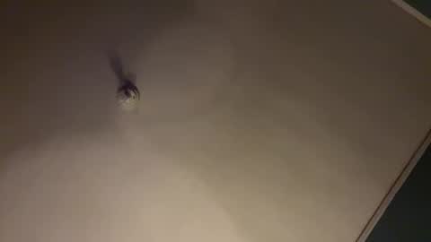 bbc_in_chitwn online show from January 31, 7:50 am