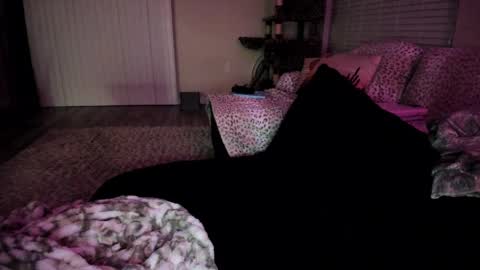 Shasta online show from April 6, 4:32 am