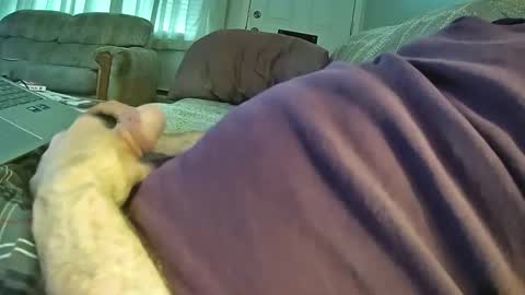 bcema2 online show from October 24, 3:30 pm