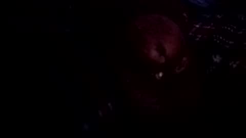 Snapshot of bcfalcon69 chatting on June 26, 3:11 am bcfalcon69 online show from June 26, 3:11 am