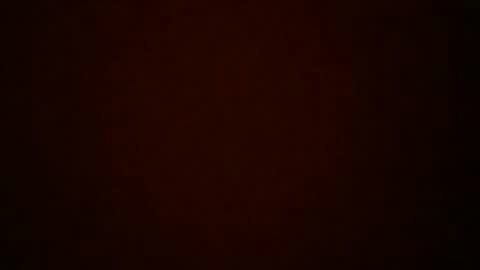 Snapshot of bdrtn chatting on January 17, 4:50 am bdrtn online show from January 17, 4:50 am