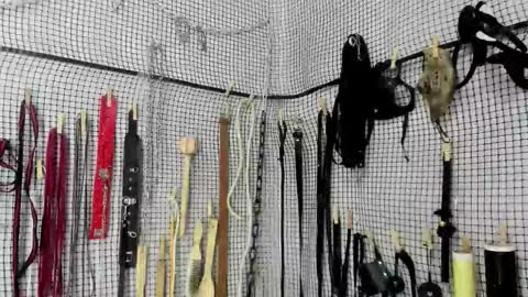 Snapshot of bdsm_meduza chatting on February 20, 6:26 am Meduza online show from February 20, 6:26 am