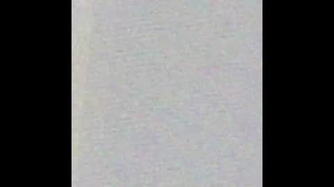 Bearvixen online show from January 9, 4:21 pm