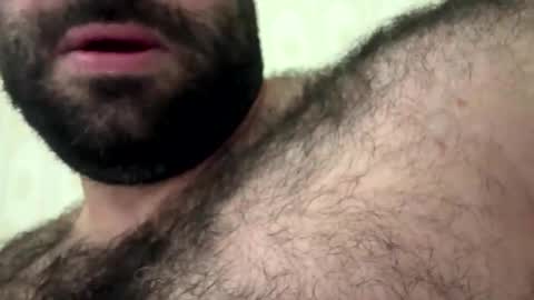 bearplay12 online show from November 14, 11:46 pm