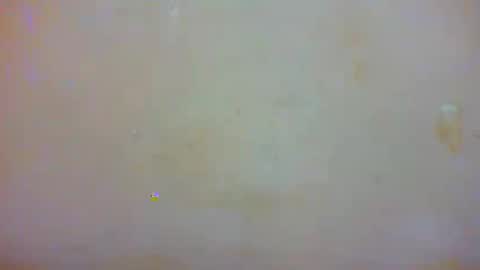 Eva online show from January 23, 2:02 am