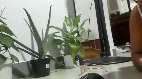 bebesita online show from April 11, 2:27 am
