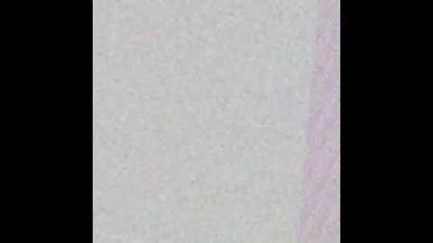 Snapshot of bedstuymonstercock90 chatting on November 1, 7:49 pm hungnheavy online show from November 1, 7:49 pm