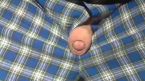  Reservoir Dogs online show from February 19, 11:28 am